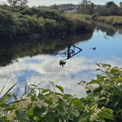 Antigonish Landing Trail - Antigonish