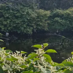 Antigonish Landing Trail - Antigonish