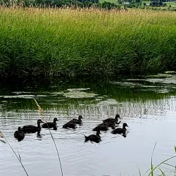 Antigonish Landing Trail - Antigonish