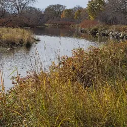Antigonish Landing Trail - Antigonish