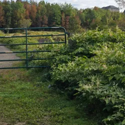 Antigonish Landing Trail - Antigonish