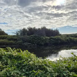 Antigonish Landing Trail - Antigonish