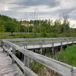 Bayfield Provincial Park - Antigonish