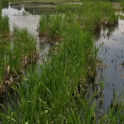 Bayfield Provincial Park - Antigonish