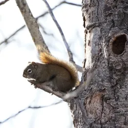Cooking Lake-Blackfoot Provincial Recreation Area - Ardrossan
