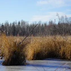 Cooking Lake-Blackfoot Provincial Recreation Area - Ardrossan