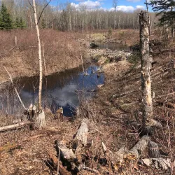 Cooking Lake-Blackfoot Provincial Recreation Area - Ardrossan