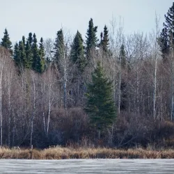 Cooking Lake-Blackfoot Provincial Recreation Area - Ardrossan