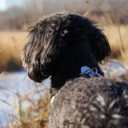 Cooking Lake-Blackfoot Provincial Recreation Area - Ardrossan