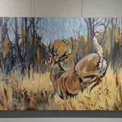 Local Art Galleries and Studios - Ardrossan