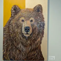 Local Art Galleries and Studios - Ardrossan