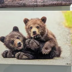 Local Art Galleries and Studios - Ardrossan