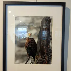 Local Art Galleries and Studios - Ardrossan