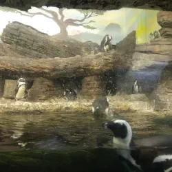 Nearby Edmonton Attractions - Ardrossan