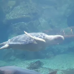 Nearby Edmonton Attractions - Ardrossan