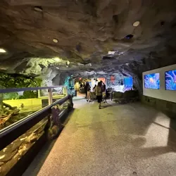 Nearby Edmonton Attractions - Ardrossan