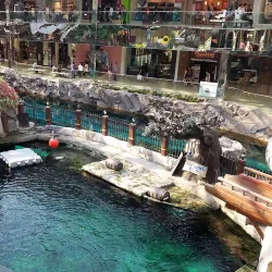 Nearby Edmonton Attractions - Ardrossan