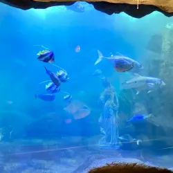 Nearby Edmonton Attractions - Ardrossan