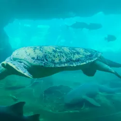 Nearby Edmonton Attractions - Ardrossan