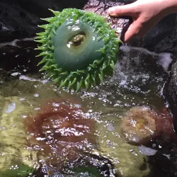 Nearby Edmonton Attractions - Ardrossan