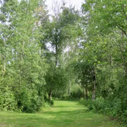 Strathcona Wilderness Centre - Ardrossan