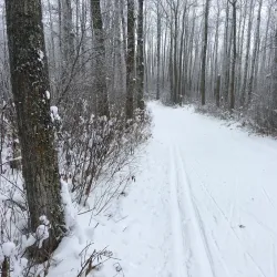 Strathcona Wilderness Centre - Ardrossan