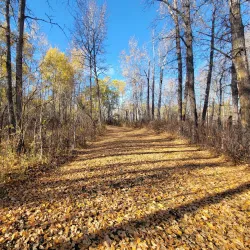 Strathcona Wilderness Centre - Ardrossan