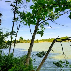 Nearby Protected Natural Areas - Attawapiskat