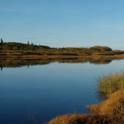 Northern Ontario Wilderness - Attawapiskat