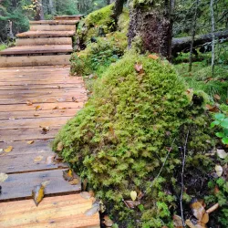 Traditional Cree Campsites - Attawapiskat