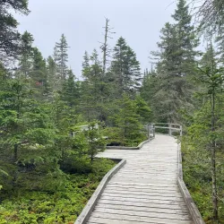 Traditional Cree Campsites - Attawapiskat