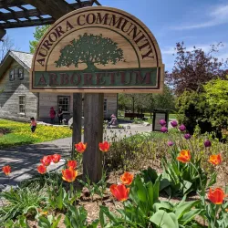 Aurora Arboretum - Aurora