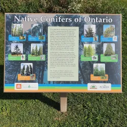 Aurora Arboretum - Aurora