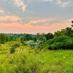 Aurora Arboretum - Aurora
