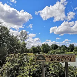 Aurora Arboretum - Aurora
