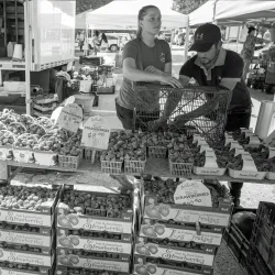 Aurora Farmers' Market - Aurora