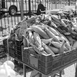 Aurora Farmers' Market - Aurora