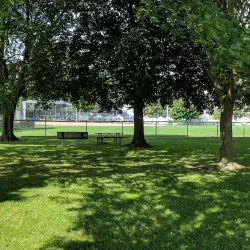 Aurora Town Park - Aurora