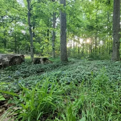 Holland River Trail - Aurora