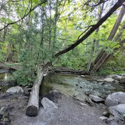 Holland River Trail - Aurora