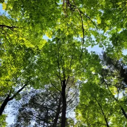 Holland River Trail - Aurora