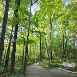 Holland River Trail - Aurora