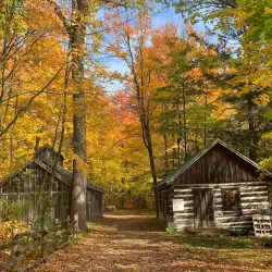 Sheppard's Bush Conservation Area - Aurora