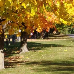 Sheppard's Bush Conservation Area - Aurora