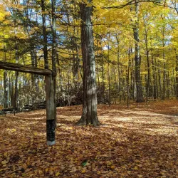 Sheppard's Bush Conservation Area - Aurora