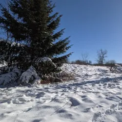 Sheppard's Bush Conservation Area - Aurora
