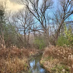 Sheppard's Bush Conservation Area - Aurora