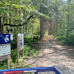 Sheppard's Bush Conservation Area - Aurora