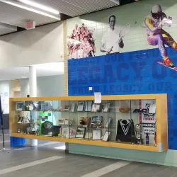 Stronach Aurora Recreation Complex - Aurora