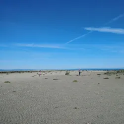 Plage de Baie-Comeau - Baie-Comeau